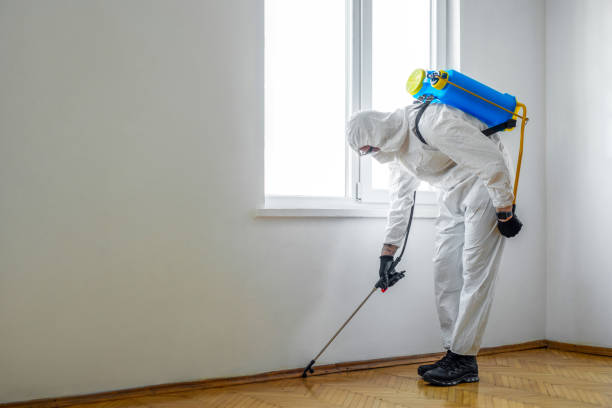 Wildlife Control Services in Clyde, NY