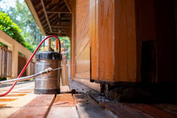 Best Best Pest Control Companies  in Clyde, NY